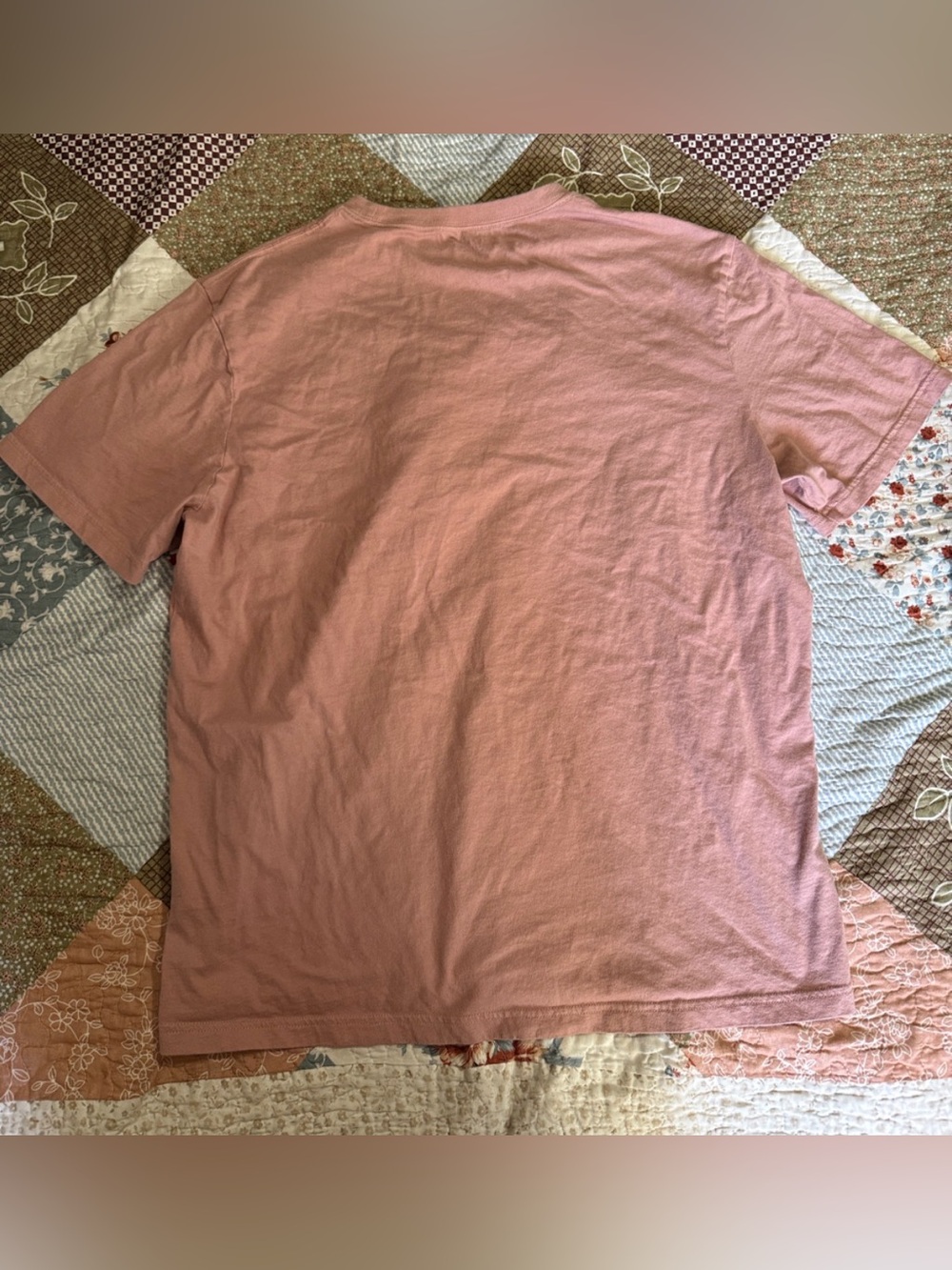 American Eagle Outfitters Dusty Pink Mens Graphic Crew Tee size large - Picture 3 of 3